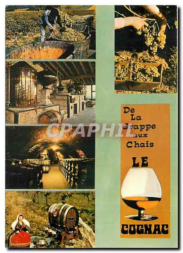 Cartes postales moderne Au pays du Cognac