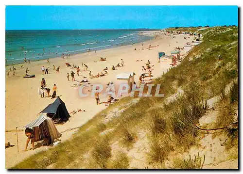 Cartes postales moderne Ile de Re Le Bois Plage