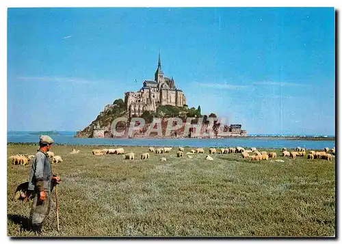 Moderne Karte Mont-St-Michel Les moutons de pre sale