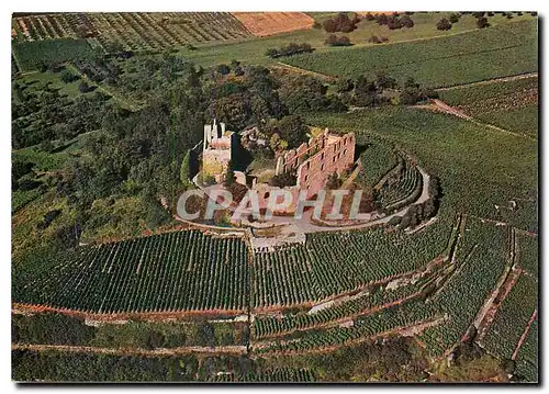 Cartes postales moderne Staufen im Breisgau Historische Fauststadt