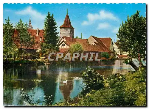 Cartes postales moderne Creglingen Tauberidyll