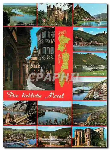 Moderne Karte Die liebliche Mosel