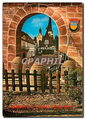 Cartes postales moderne Michelstadter Bie