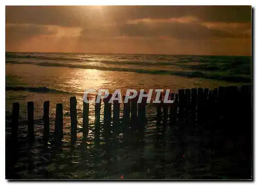 Cartes postales moderne Gruesse aus Albert Plage - Knokke - Zoute