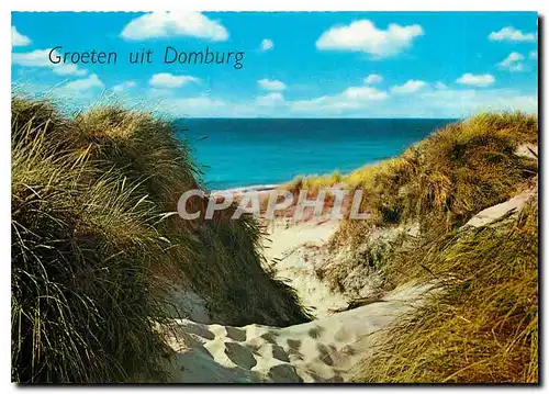 Cartes postales moderne Groeten uit Domburg