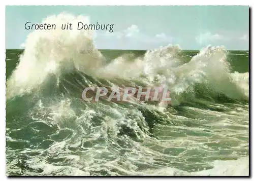 Cartes postales moderne Groeten uit Domburg