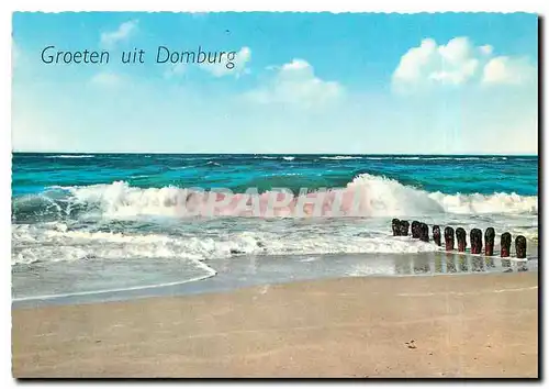 Cartes postales moderne Groeten uit Domburg