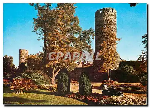 Cartes postales moderne Fritzlar. Anfagen an der Stadtmauer