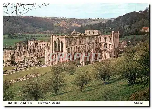 Cartes postales moderne North Yorkshire Rievaulx Abbey