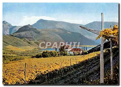 Moderne Karte Lago di Caldaro - Ruderi Leuchtenburg e Castello Ringberg (Museo del vino)