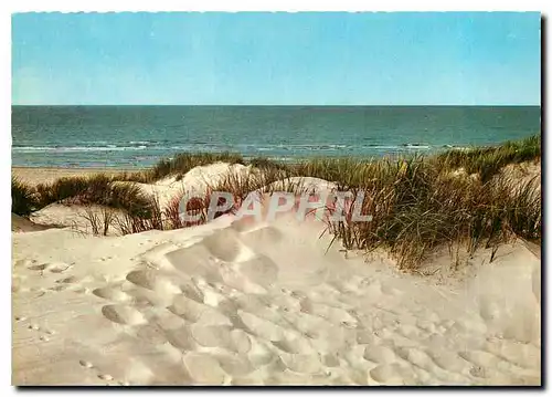Cartes postales moderne Un bonjour de la cote belge