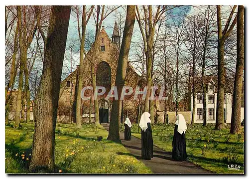Cartes postales moderne Bruges - Le Monastere de la Vigne Eglise Ste-Elisabeth