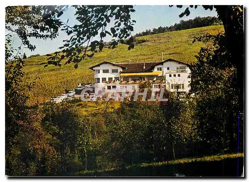 Cartes postales moderne Winzerstuben zum Bocksbeutel. Umweg bei Baden-Baden