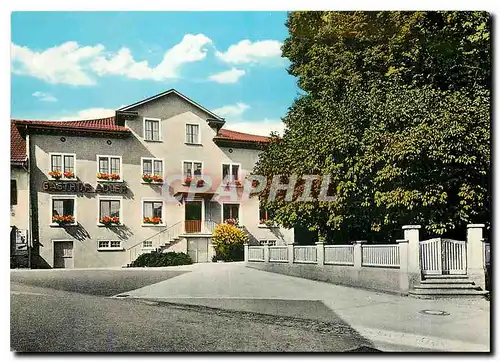 Cartes postales moderne Gasthaus - Pension Adler