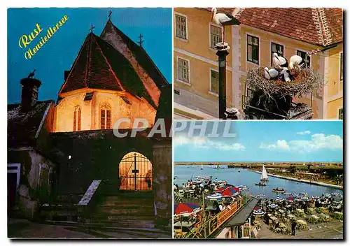 Cartes postales moderne Rust Neusiedlersee