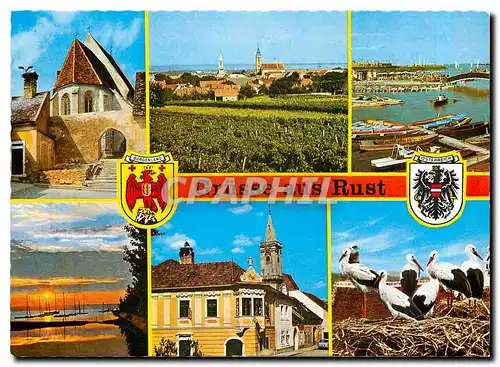 Cartes postales moderne Gruesse aus Rust Cigognes