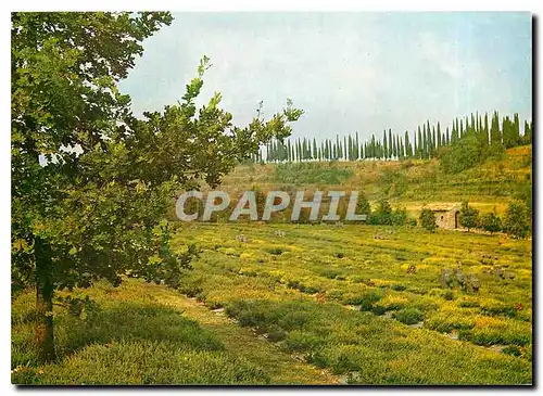 Moderne Karte Deutscher Soldatenfriedhof Costermano/Italien