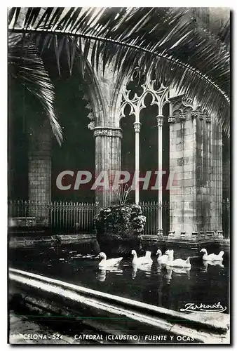Cartes postales moderne Catedral (Claustro) Fuente y ocas