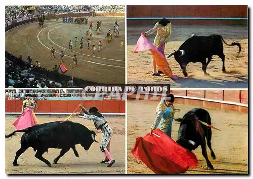 Cartes postales moderne Corrida de Toros