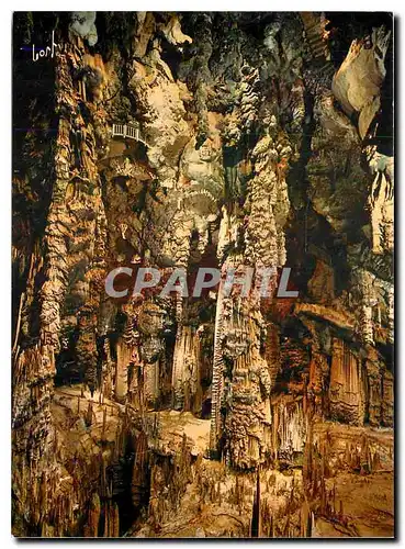 Cartes postales moderne Grotte de Demoiselles La Caverne Merveilleuse La Cathedrale