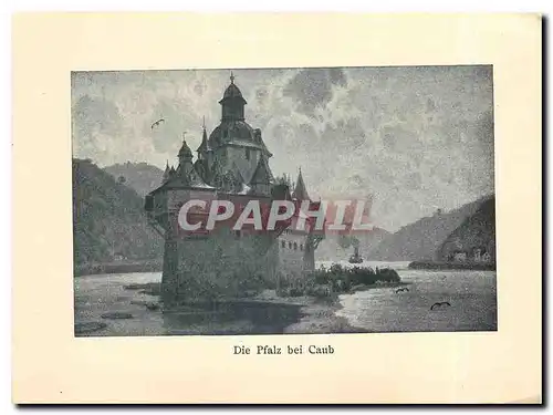 Cartes postales moderne Die Pfalz bei Caub