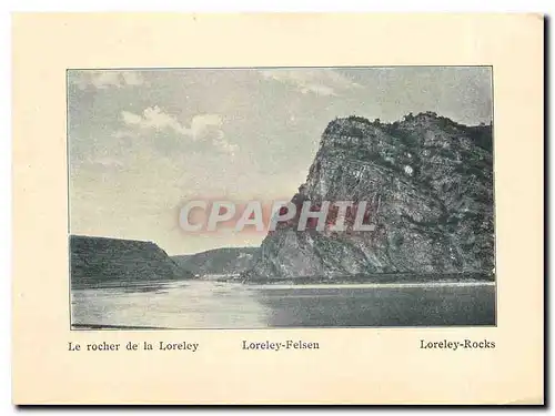 Cartes postales moderne Loreley-Felsen