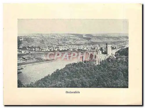 Cartes postales moderne Stolzenfels