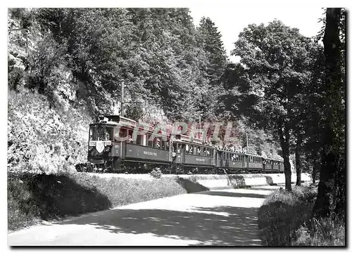 Cartes postales moderne Train special du 50e anniversaire entre St-Cergue et la Givrine 9.7.1966