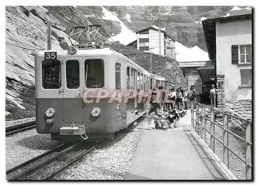 Cartes postales moderne Train pour Petite Scheidegg a Eigergletscher notex la meute de chiens polaires 15.7.1990