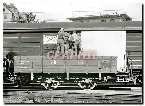 Cartes postales moderne On transborde de la paille a St-Gall 18.8.1967