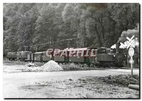 Cartes postales moderne Train mixte a Rechberg