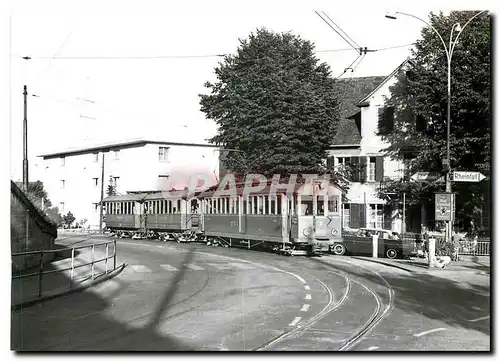 Cartes postales moderne Train pour Schieitheim a Neuhausen Rheinhof