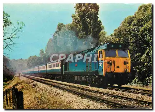 Moderne Karte British Rail Class 50 Co Co No 50 023 Howe Paignton