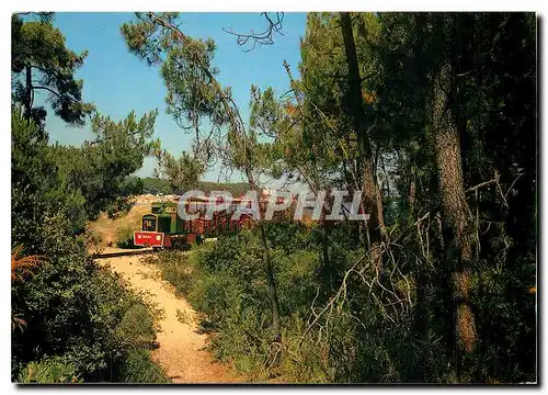 Cartes postales moderne Ile d'Oleron Ch Mme Promenade en foret le petit train touristuque de Saint Trojan