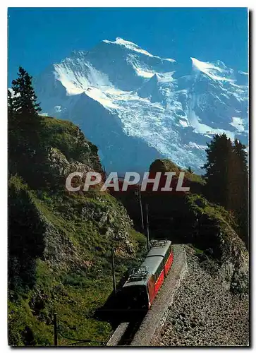Cartes postales moderne Jungfrau mit Schynigeplatte Bahn
