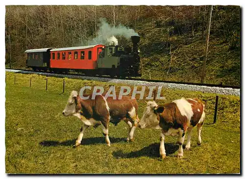 Cartes postales moderne Murtalbahn Unzmarkt Murau Tamsweg Mauterndorf