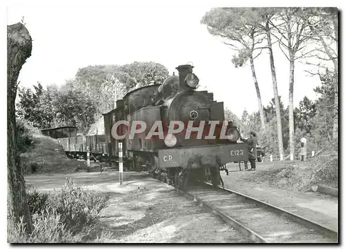 Cartes postales moderne Train pour Sta Comba Dao au PN de Parada de Gonta