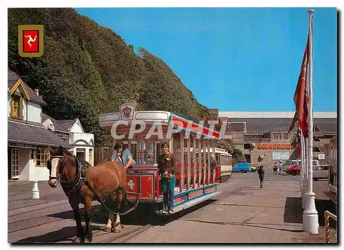 Cartes postales moderne The Royal Horse Drawn Tram