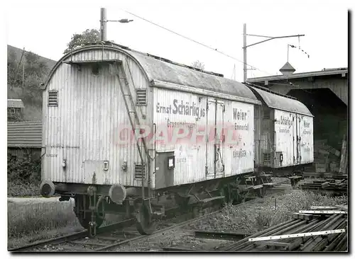 Cartes postales moderne Kuhlwagen P 596 131 132 der Grossmetzgerei Scharlig