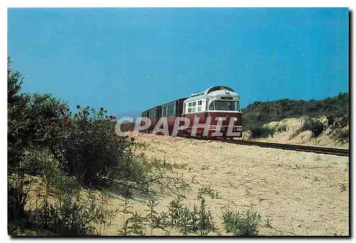 Moderne Karte Dieselloc M1805 Meeuw met tram in de duinen te Ouddorp