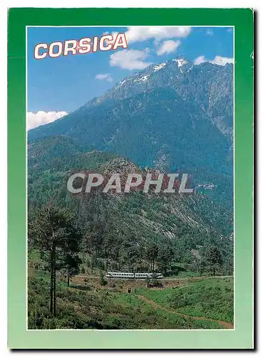 Cartes postales moderne Corsica La micheline le monte d'Oro