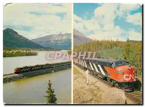 Cartes postales moderne Canadian Rocky Mountains The Canadian Super Continental