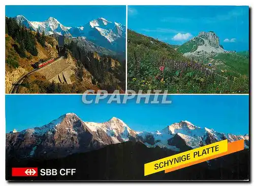 Cartes postales moderne Schynige Bahn Bienne Neuchatel