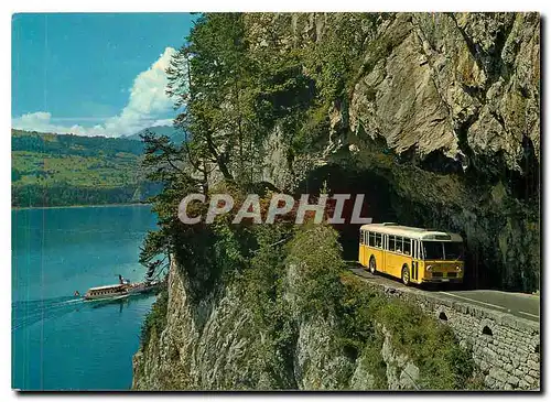 Cartes postales moderne Am Thunersee