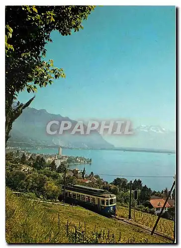 Cartes postales moderne Montreux Le Train Montreux Oberland Bernois et les Dents du Midi