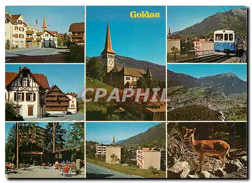 Cartes postales moderne Goldau SZ mit Tierpark und Rigibahn