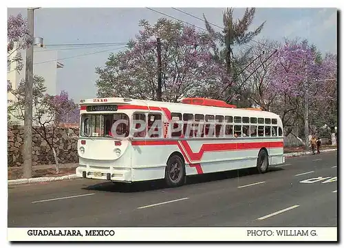 Cartes postales moderne Guadalajara Mexico TGG 2116 Rolleycoach