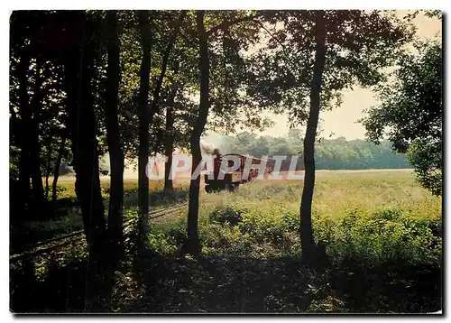 Moderne Karte Une rame en provenance de St Eutrope penetre en sous bois