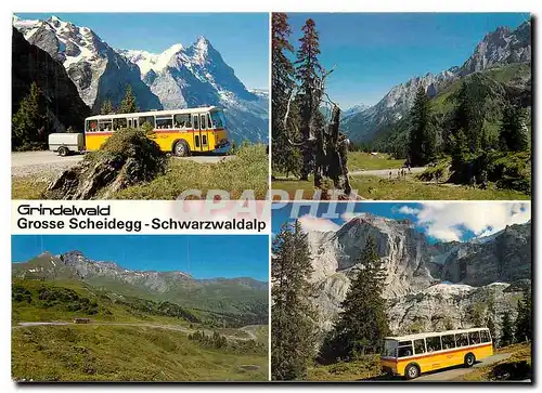 Cartes postales moderne Grindelwald Grosse Scheidegg Schwarzwaldalp