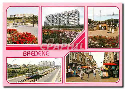 Cartes postales moderne Greetings from Bredene